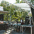 Stage 6 sml